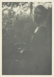Bord de la forêt