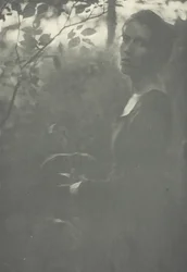 Bord de la forêt