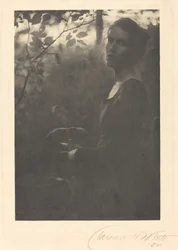 Bord de la forêt, soir