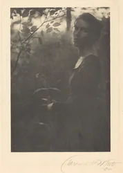 La lisière des bois, le soir, 1900 (photo)