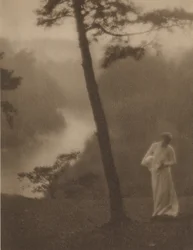 Matin, vers 1905 (photo)