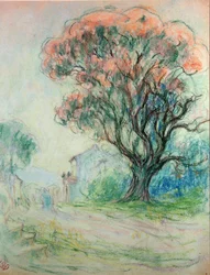 Arbre rose