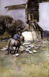 Cavalier près d