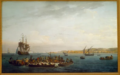 Pêche au thon