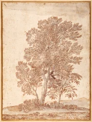Trois arbres