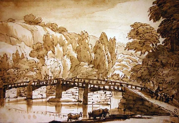 Paysage boisé