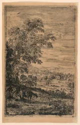Les trois chèvres