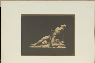 Faune ivre