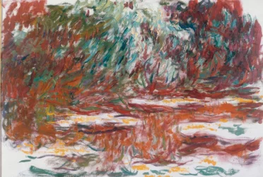Bassin aux nymphéas