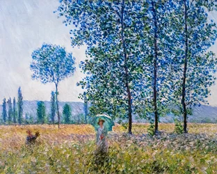 Champs au printemps
