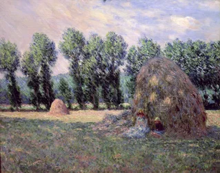 Meules de foin, 1885