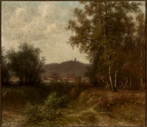 Paysage rural avec des arbres