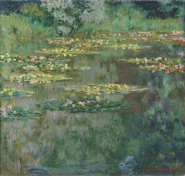 Le Bassin des Nymphéas
