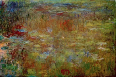 Le bassin aux nymphéas