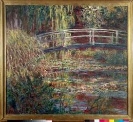 Le bassin aux nymphéas, harmonie rose