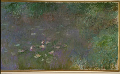 Les Nympheas : matin (huile sur toile)