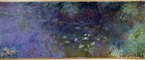 Les nymphéas : matin (détail)