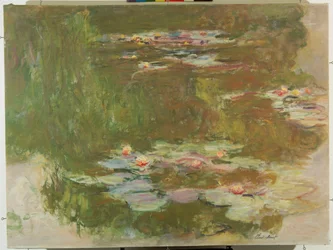 Bassin aux nénuphars