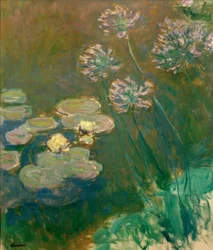 Nymphéas et Agapanthes