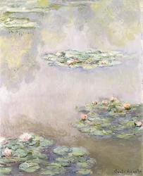 Nymphéas, 1908