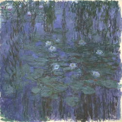 Nymphéas bleus