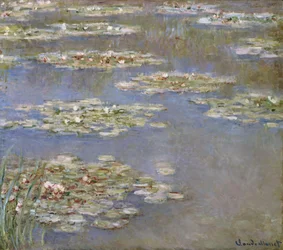 Nymphéas, vers 1905