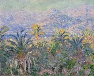 Palmiers à Bordighera