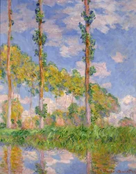 Peupliers au soleil