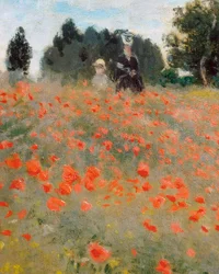 Coquelicots, environs d
