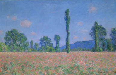 Champ de coquelicots (Giverny)