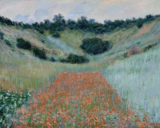 Champ de coquelicots dans un creux près de Giverny