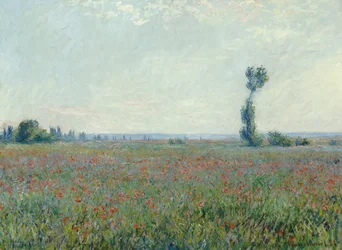 Champ de coquelicots, 1881