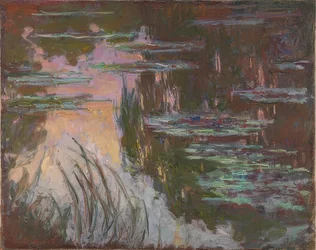 Nénuphars au crépuscule