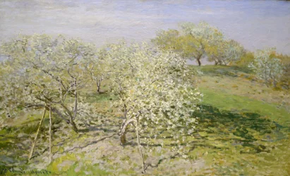 Printemps (arbres fruitiers en fleurs), 1873