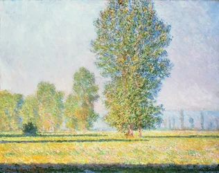 Le pré de Limetz