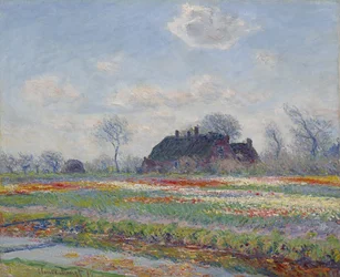 Champs de tulipes à Sassenheim, 1886