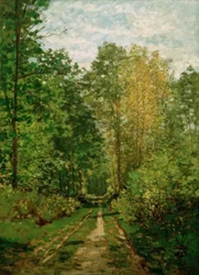 Chemin forestier