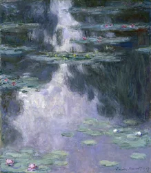 Nymphéas