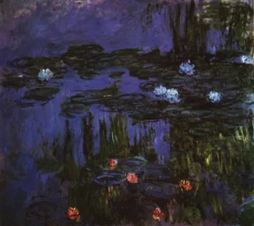 Nénuphars