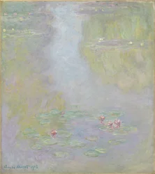 Nymphéas