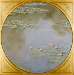 Nymphéas