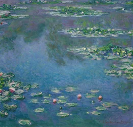 Nymphéas, 1906