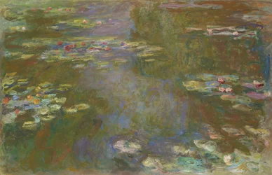 Étang de nénuphars