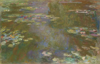 Le bassin aux nymphéas