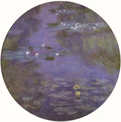 Rondelle de nénuphar