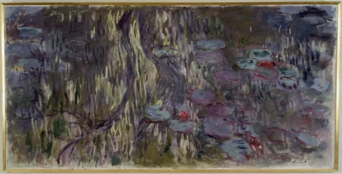 Nénuphars