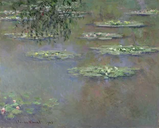 Nénuphars, 1903