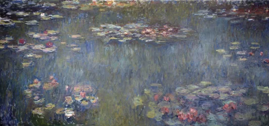 Étang aux nénuphars, reflet vert