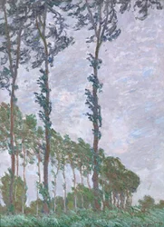 Effet de vent, série des Peupliers
