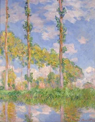 Peupliers au soleil